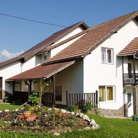 Maison d'hôtes Casa Elena à Bran  Extérieur photo