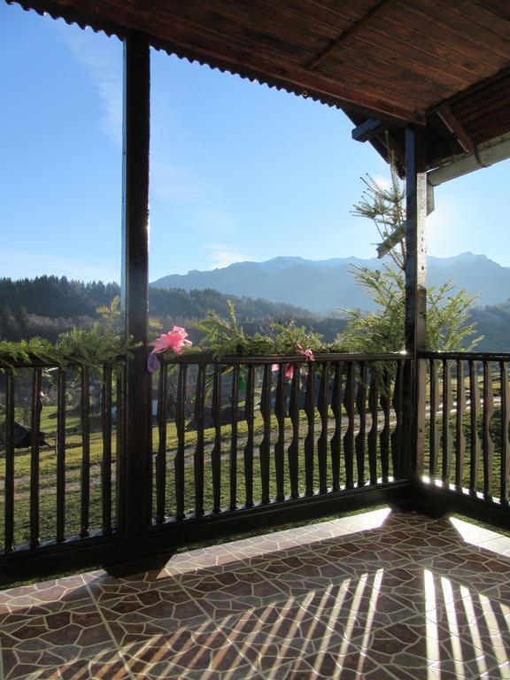 Maison d'hôtes Casa Elena à Bran  Extérieur photo